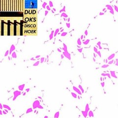 BRAM FABER - DUDOK'S DISCO HOEK 2022-10