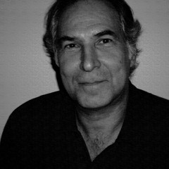 Entre Vienne et Venise