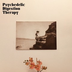 Psychedelic Digestion Therapy- S/T LP SL109