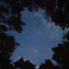 stars