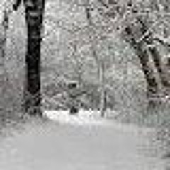non-christmas ice level/area music