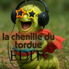 la chenille du tordu  (XELAS x Gravity_C4NA Edit )