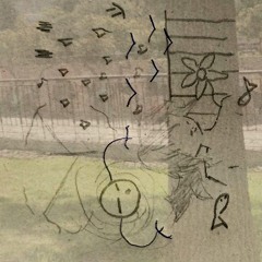 ordenando mis libros