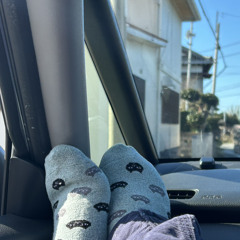 春/カネコアヤノ cover