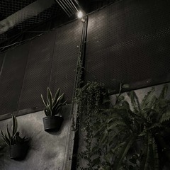 một đời khác, mình sẽ lại có nhau