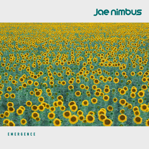 Emergence ( Free download link in description )