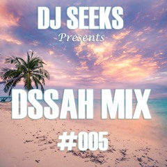 DJ SEEKS - DSSAH MIX #005 (SOULFUL HOUSE MIX)