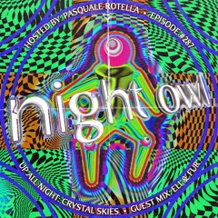 Night Owl Radio 287 ft. Crystal Skies and Eli & Fur
