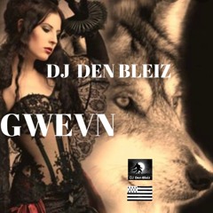 DJ DEN BLEIZ GWEVN