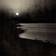 Midnight Moon