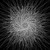 Artwork for Dark Ambient Set @ Trishula Gathering - 2.5 Hour Extended Version