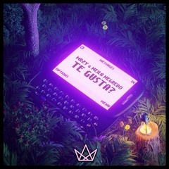 MRZY - Te Gusta (feat. Neila Negredo)