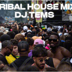 Tribal house 2025 mix