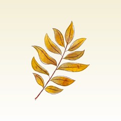 Zen Mode 🌱 ( Lofi / Chill-Hop )