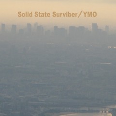 Solid State Surviber（Cover）