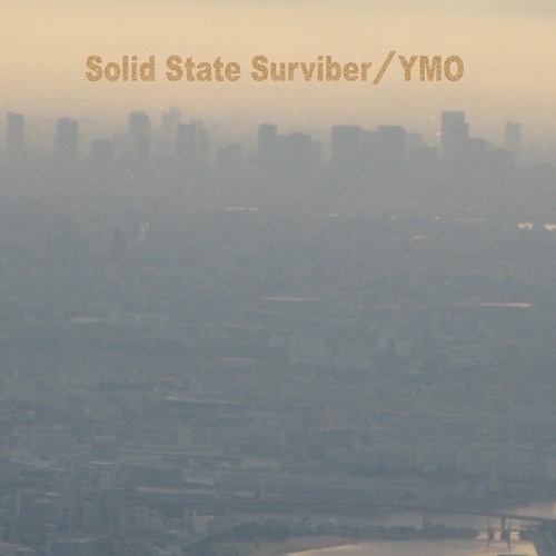 Solid State Surviber（Cover）