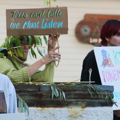Protesters Call On City To Save Trees