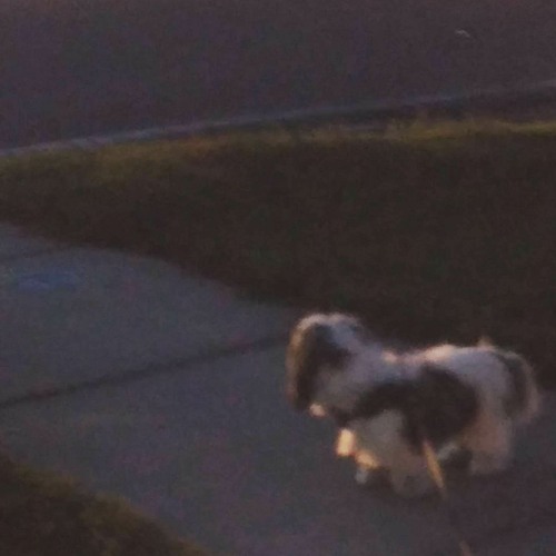 Crunk Jesus & NWG - ay mi coco [Full Album]