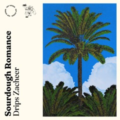 Drips Zacheer - Your Smile