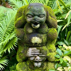 20250227 birds in singapore (beat)