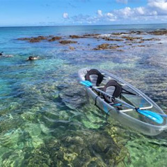 Review Special Price Clear Bottom Kayak - Guaranteed To See Turtles!