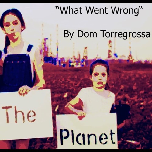 What Went Wrong?