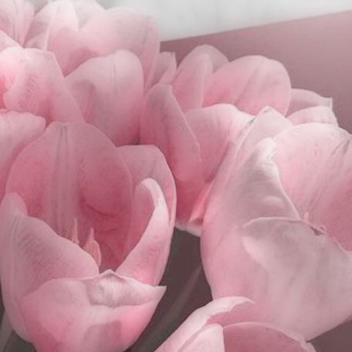 𝒹𝑒𝓈𝓅𝒶𝒾𝓇 - 𝓁𝑒𝑜. ☁️ 𝓈𝓅𝑒𝒹 𝓊𝓅