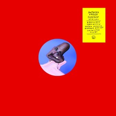 INCOMING : Panthera Krause - J'ai Envie De Toi (Shubostar Remix) #Riotvan