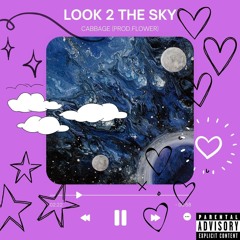 LOOK 2 THE SKY (prod. flower) || DEMO