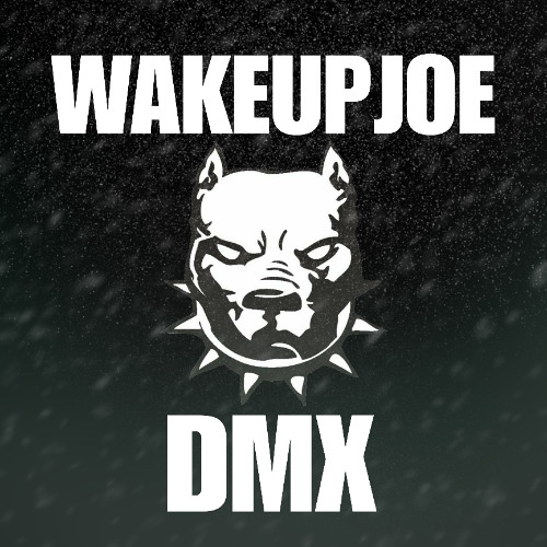 DMX PROD BY WAKEUPJOE
