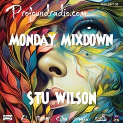 #213 Profound Radio  Progressive House  @djstuwilson