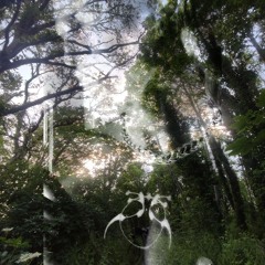 In da woods - L.A. SNOW Mixtape ⸜(｡˃ ᵕ ˂ )⸝♡