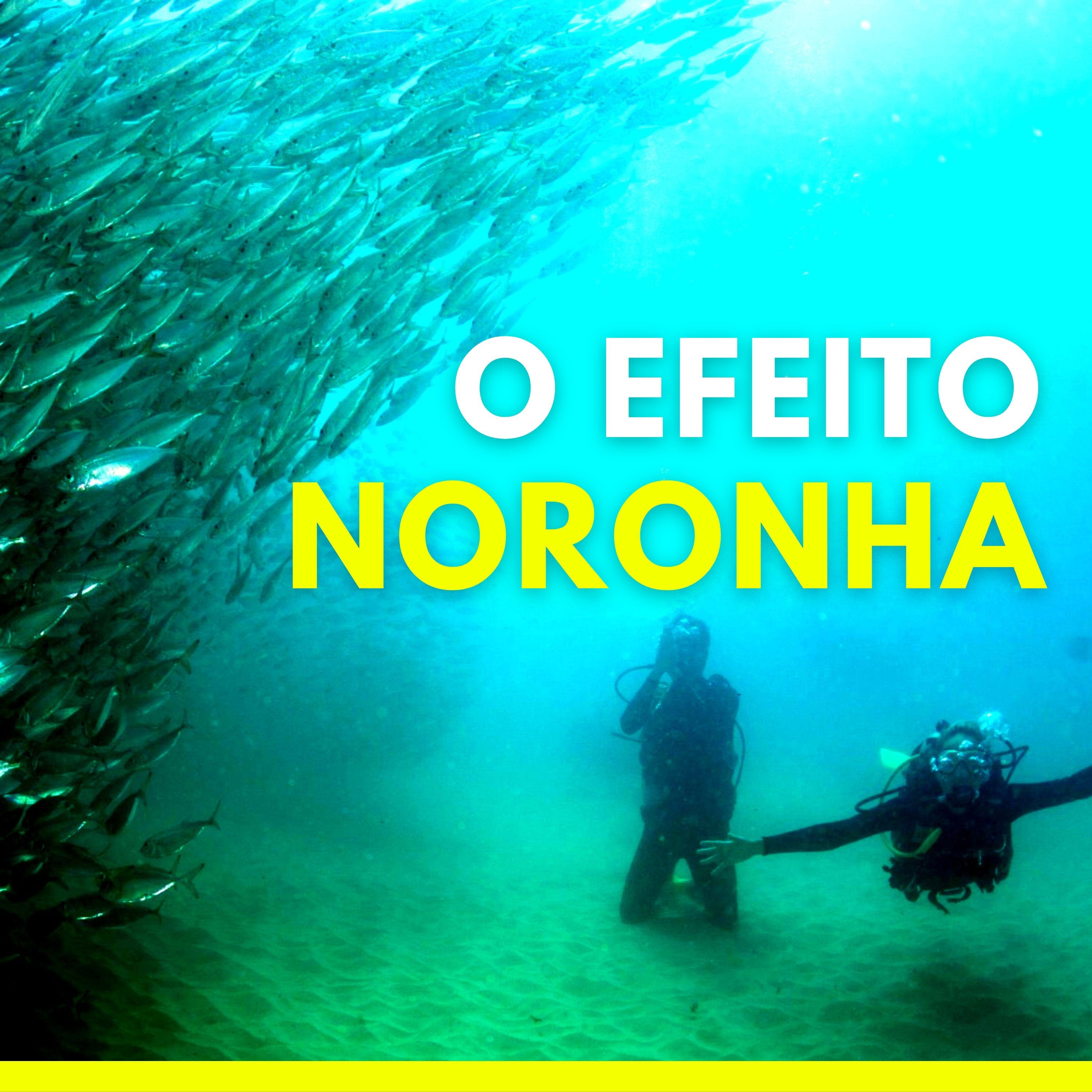 139 O Efeito Noronha