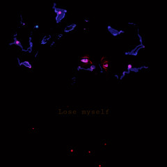 Lose Myself