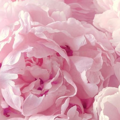 ‎⁨نجيب المقبالي - تخيل ⁩