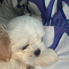 Global- Flow Switch (Prod. mvndkontrol)