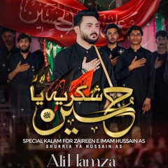 Shukriya Ya Hussain (a.s)  --  Ali Hamza  --  2024