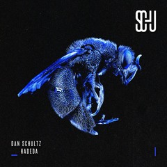 Dan Schultz - Hadeda [SCHU01]