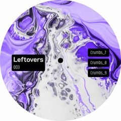 Premiere : Leftovers - Crumbs 8 (LOS_003)