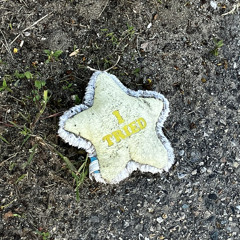 i wish i could stay here