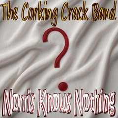 Norris Knows Nothing (Demo)