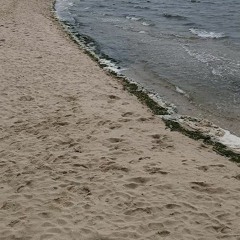 Desperta (Cordas e teclas - Essenciais) [instrumental]