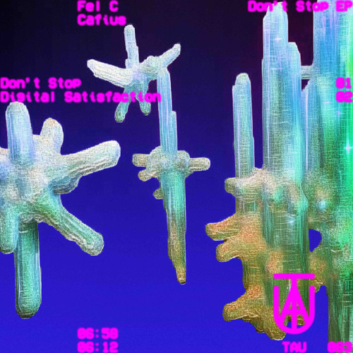 PREMIERE: Fel C, Cafius - Don't Stop (Original Mix) [TAU]