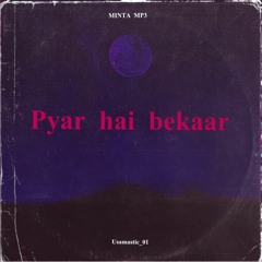 Payar Hai Bekaar|Minta MP3|Official Audio|UrduHipHop|