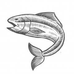 Fisherman - NIIX & OHBIN