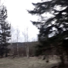 what is real? - demo (neverforever)