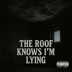THE ROOF KNOWS IM LYING