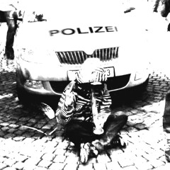 POLIZEI
