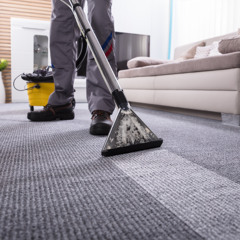 How to Clean and Maintain Your Carpet