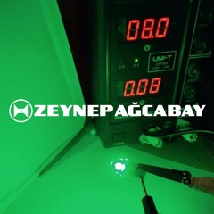 ABN260924 ZEYNEP AĞCABAY